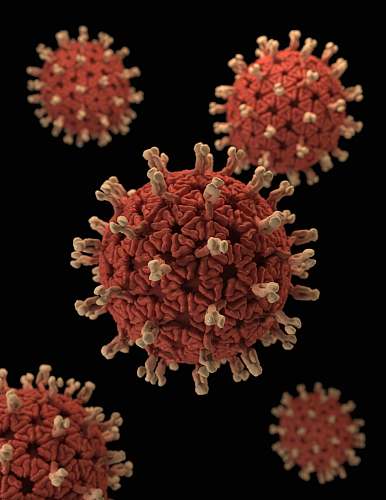 pattern red and black round fruits bacteria